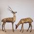 Brass Showpiece Deer Pair Statue 44kg