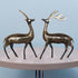 Brass Showpiece Deer Pair Statue With Black Finish 1.295kg