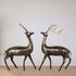 Brass Showpiece Deer Pair Statue With Black Finish 1.295kg