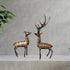 Brass Showpiece Deer Pair Statue With Black Finish 1.575kg