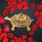 Brass Tortoise with Yantra Idol 5.6kg
