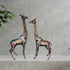 Brass Giraffe Statue Set of 2 Pieces 18kg