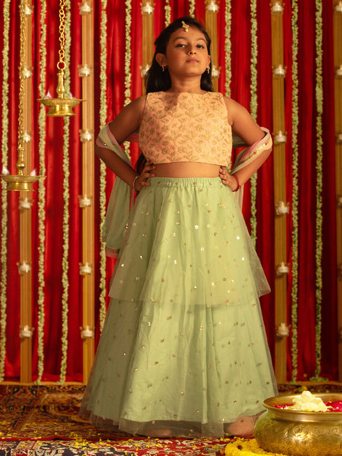 Vastramay Girls' Pink Zari Embroidery Worked Crop Top And Net Lehenga Set