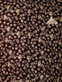 VASTRAMAY Men's black Cotton Silk Blend Ethnic Jacket