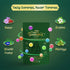 Vasu Immunity Booster Combo for Kids