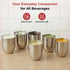 Vinod Stainless Steel Premium Hammered Glass Set of 6 300 ml with High Grade Stainless Steel Long Lasting and Durable Rust Free