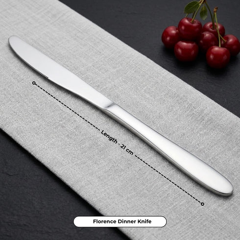 Vinod Stainless Steel Florence Cutlery 21 piece set