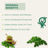 Vitro Naturals I Am Super Herb Moringa Powder