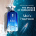 Ajmal Perfumes India WAVE Perfume for Men