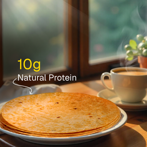 Prolicious Methi Khakhra 10g Natural Protein Jain
