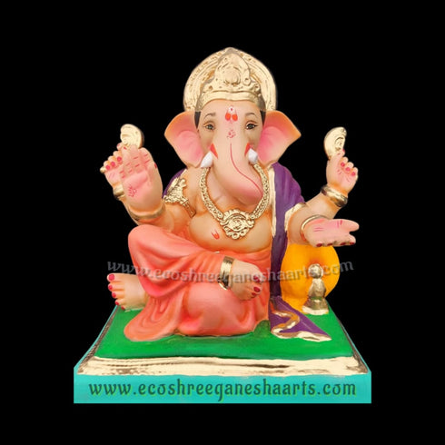 Eco friendly Chota Peshwa