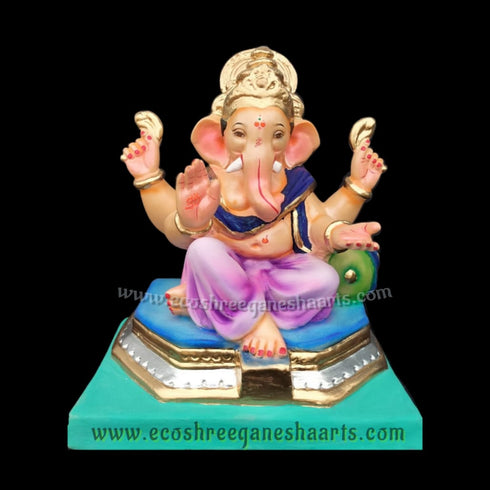 Eco friendly Chota Chorang with Load