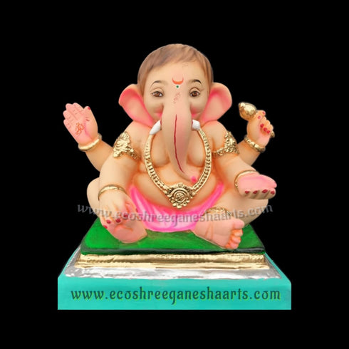 Eco friendly Gattu Bal ganesh