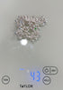 Pure Silver Multi Color Enamels Anklets 43g