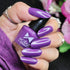 Moraze Cosmetics Premium Summer Nail Polish Kit