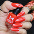 Moraze Cosmetics Premium Summer Nail Polish Kit