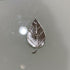 Pure Silver Kumkum Leaf Big 5g