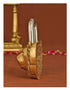 Brass Showpiece & Working Lion Face Shape Lock