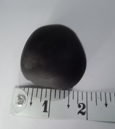 Govinda Shaligram Original from GANDAK River