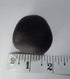 Govinda Shaligram Original from GANDAK River