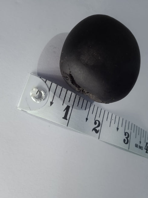 Govinda Shaligram Original from GANDAK River