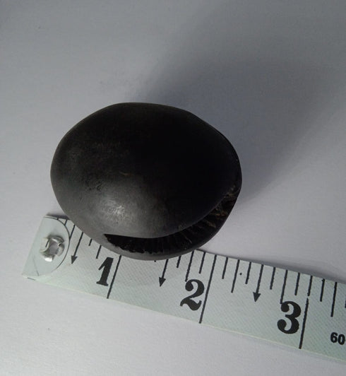 Gandaki River Govinda Shaligram