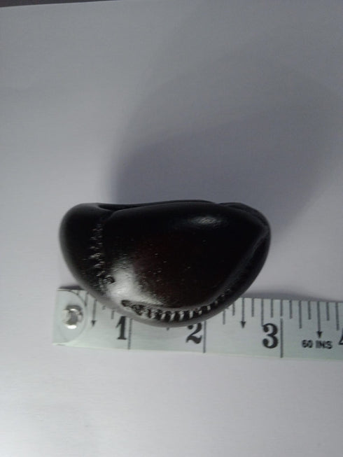 Chakradhari vishnu Shaligram
