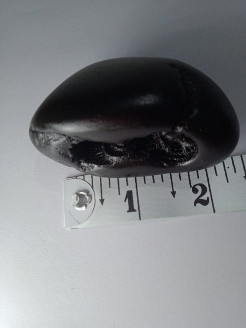 Chakradhari vishnu Shaligram