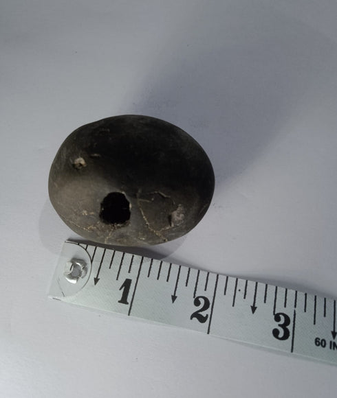 Govinda Shaligram from Gandaki River