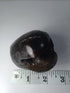 Original Hayagriva Shaligram from Gandaki River