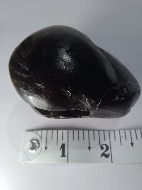 Original Hayagriva Shaligram from Gandaki River