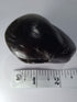 Original Hayagriva Shaligram from Gandaki River