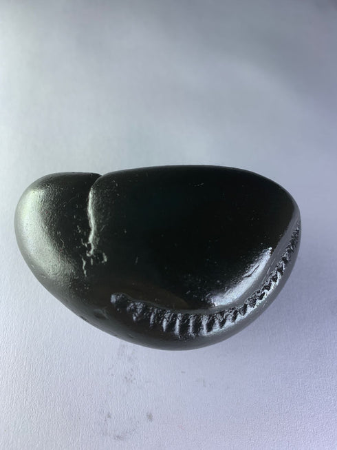 Chakradhari vishnu Shaligram