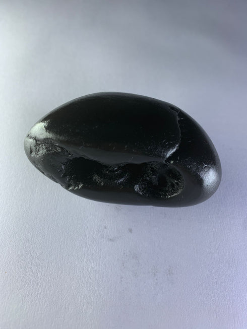 Chakradhari vishnu Shaligram