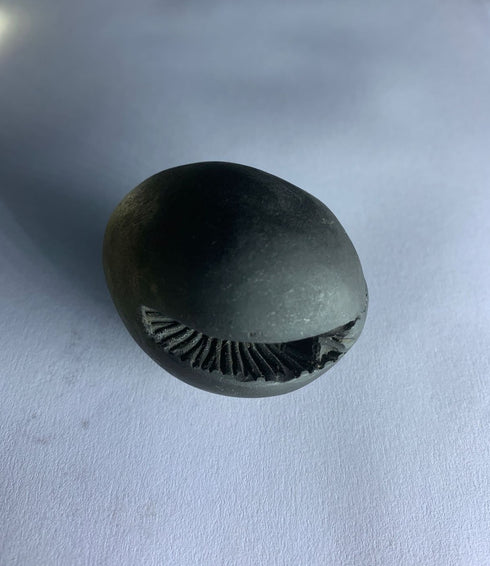 Gandaki River Govinda Shaligram