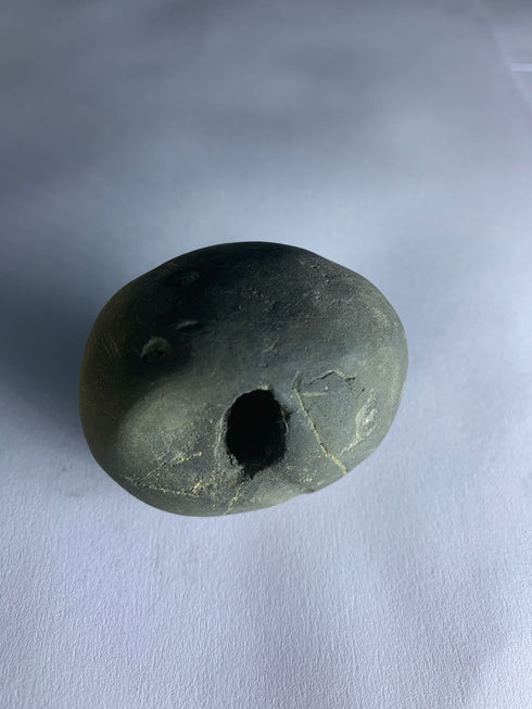 Govinda Shaligram from Gandaki River