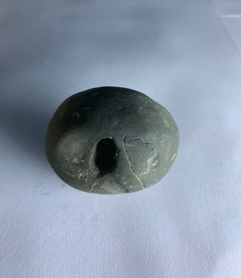 Govinda Shaligram from Gandaki River