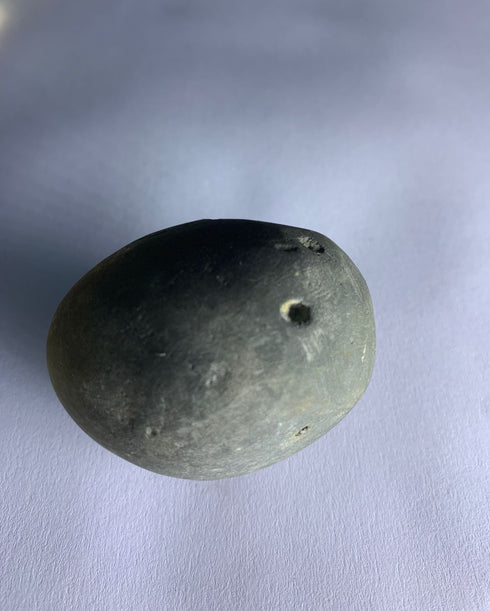 Govinda Shaligram from Gandaki River