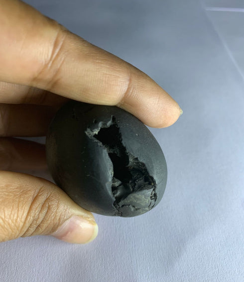Govinda Shaligram Original from GANDAK River