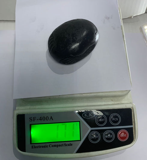 Damodar Shaligram 171g