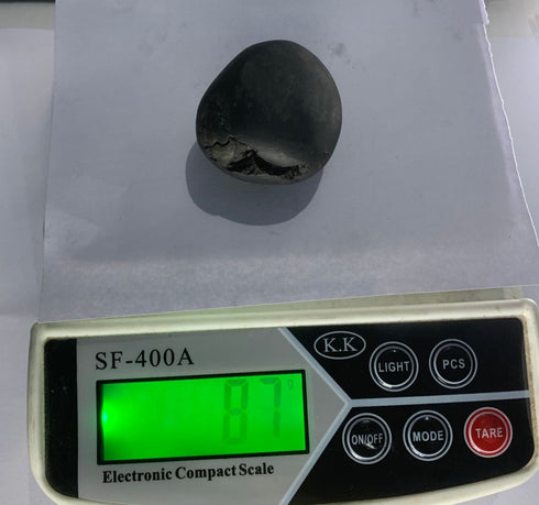 Govinda Shaligram Original from GANDAK River