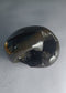 Hayagriva Shaligram from Gandaki River