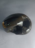 Hayagriva Shaligram from Gandaki River
