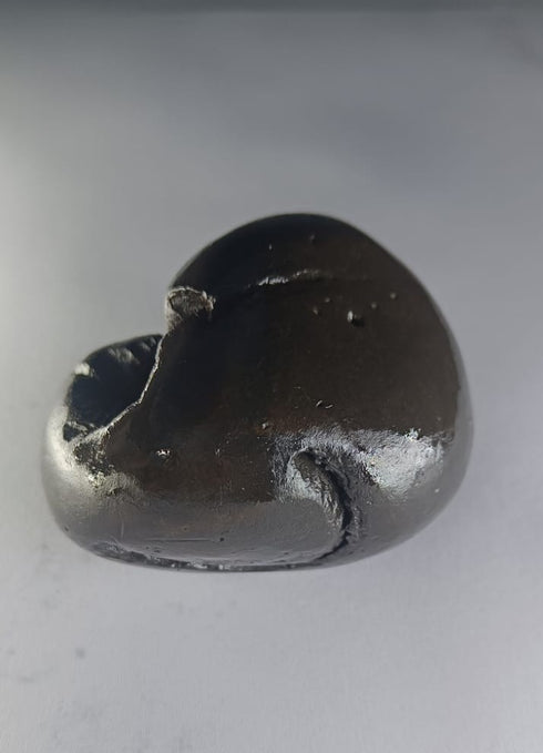 Hayagriva Shaligram from Gandaki River