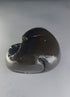 Hayagriva Shaligram from Gandaki River