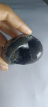 Hayagriva Shaligram from Gandaki River
