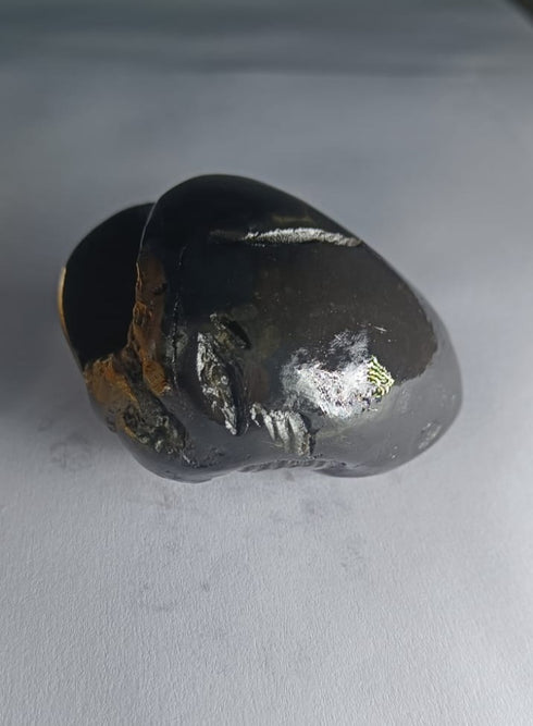 Original Hayagriva Shaligram from Gandaki River