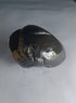 Original Hayagriva Shaligram from Gandaki River