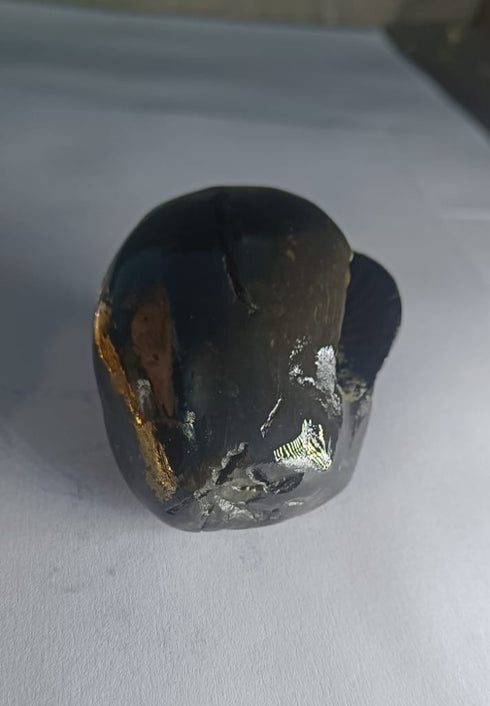 Original Hayagriva Shaligram from Gandaki River