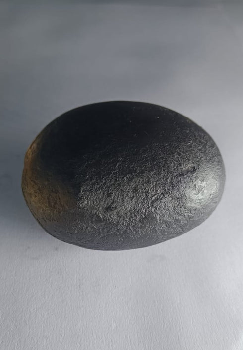 Damodar Shaligram 171g